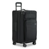 Large 28" Expandable Trunk Spinner - image1